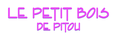 Logo Petit Bois
